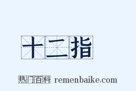 十二指腸是什么意思的图片